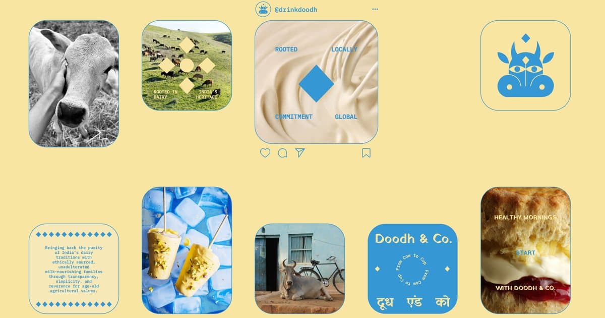 Doodh & Co: fresh milk and dairy from our own farm
